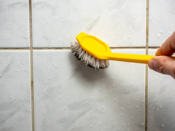 Best Mold Damage Repair  in Matthews, NC