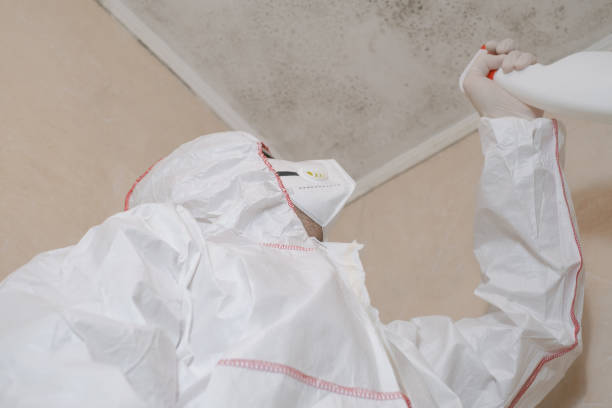 Best Residential Mold Removal  in Matthews, NC